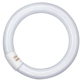 Sijalka Osram L 40W/865 C